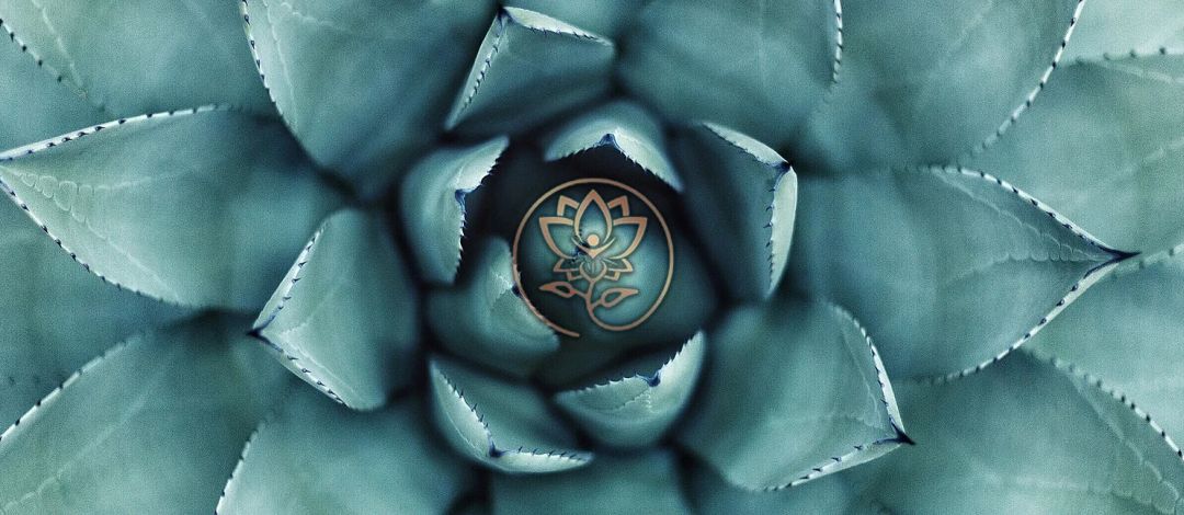 Naturheilpraktikerin_Melanie_Rose_mit Logo