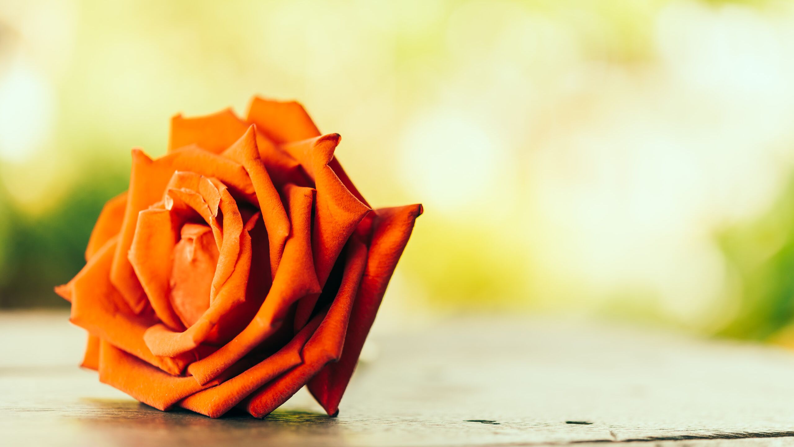 Physio & Craniosacral  Therapie Bärbel Rose